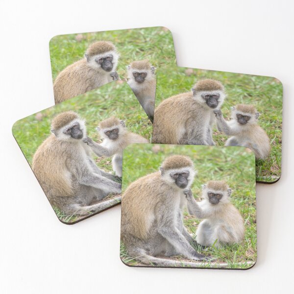 Item preview, Vervet Monkeys, Lake Manyara National Park, Tanzania designed and sold by Andrew Goodall.