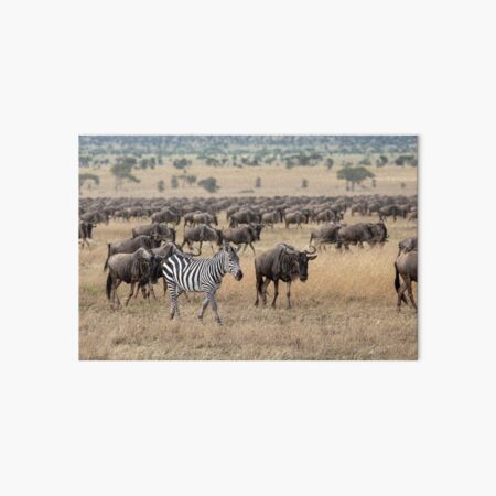 Hitching A Ride With The Great Migration Art Board Print