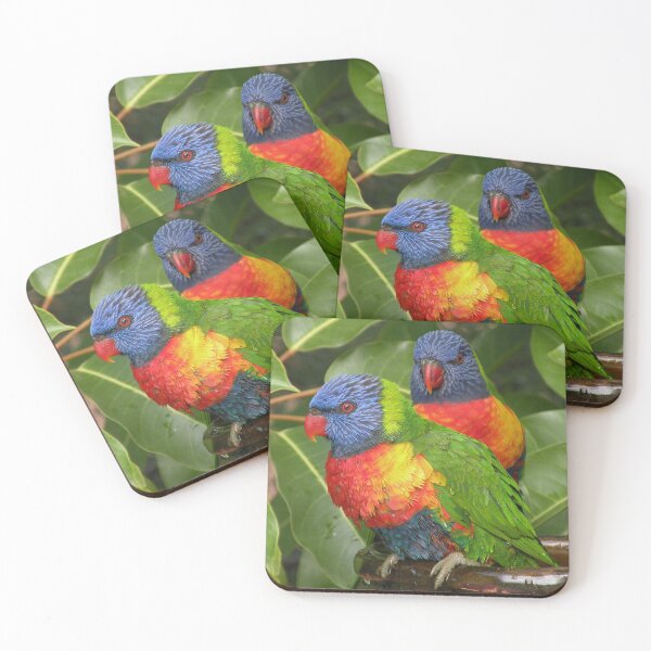 Item preview, Lorikeets Bathing designed and sold by Trish Meyer.