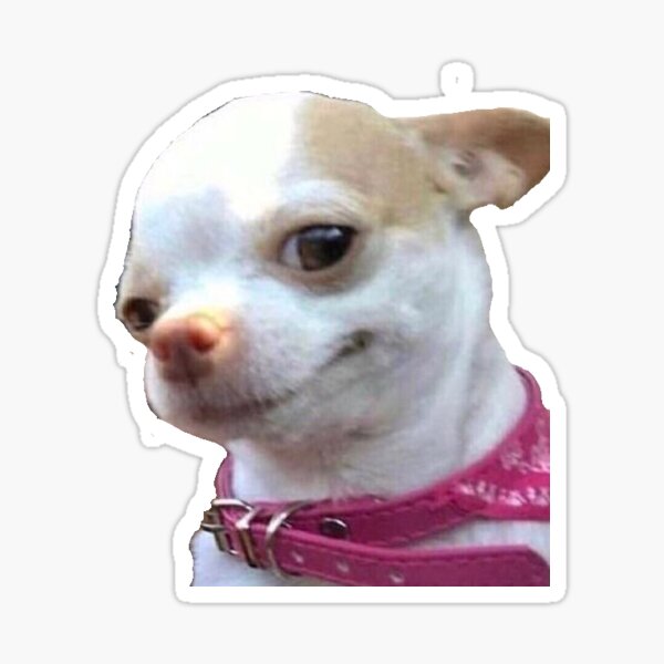 Perro meme Pegatina