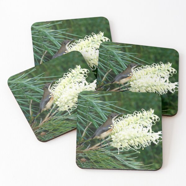 Item preview, Eastern Spinebill & Grevillea Moonlight designed and sold by Trish Meyer.