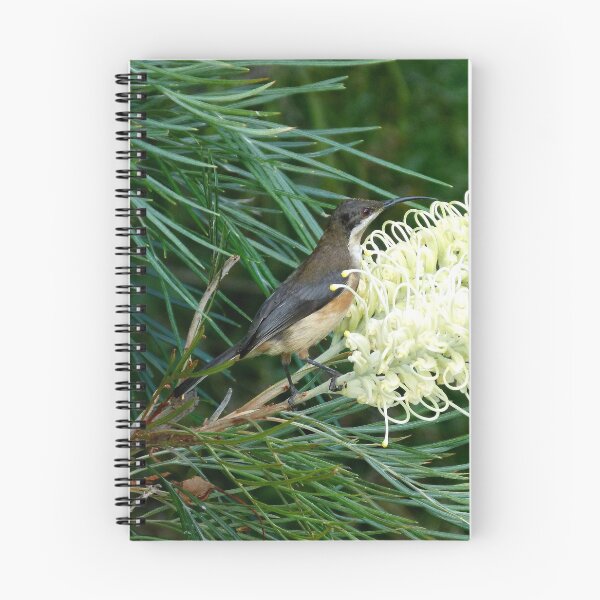 Item preview, Eastern Spinebill & Grevillea Moonlight designed and sold by Trish Meyer.