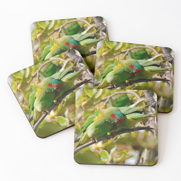 Artikelvorschau, PARROT ~ Moschus Lorikeet aQcyY3sY von David Irwin 060819 entworfen und verkauft von tasmanianartist.