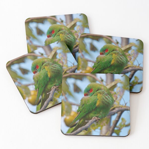 Artikelvorschau, PARROT ~ Moschus Lorikeet fARyT8hB von David irwin 070819 entworfen und verkauft von tasmanianartist.