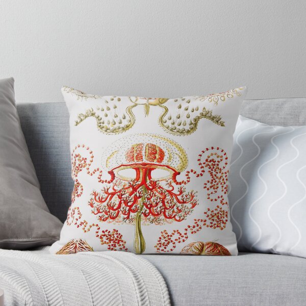 Item preview, Plate 46. Anthomedusae. Jellyfish, solitary animals with tentacles arising from the bell margin.  designed and sold by Squirrox.