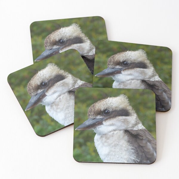 Item preview, Kookaburra Portrait 1 designed and sold by Trish Meyer.