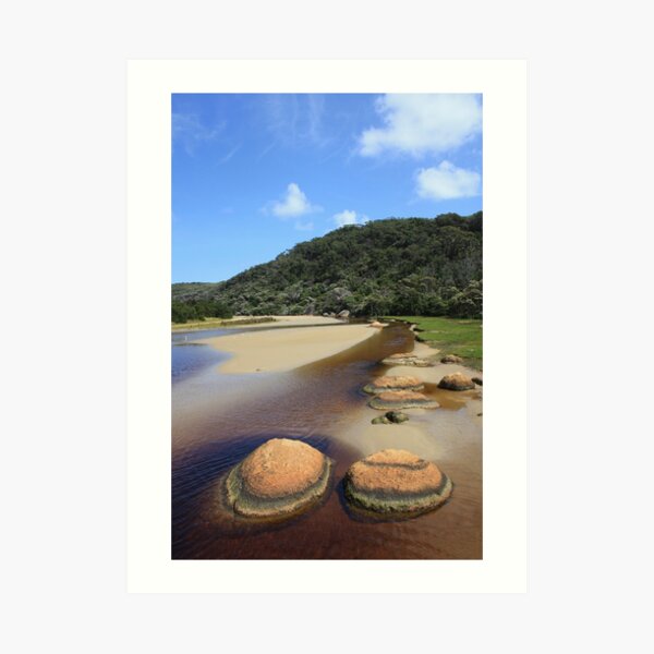 Tidal River rocks... Art Print
