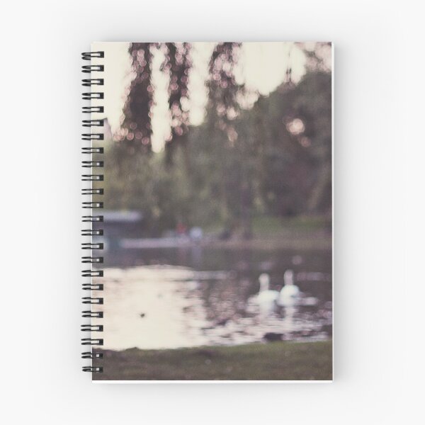 Item preview, swans in the boston garden designed and sold by STUDIOCLAIRE.