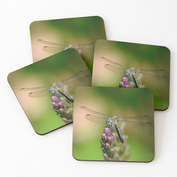 Item preview, Dragonfly designed and sold by PatSeg Photos.