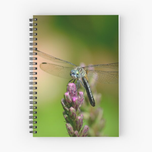 Item preview, Dragonfly designed and sold by PatSeg Photos.