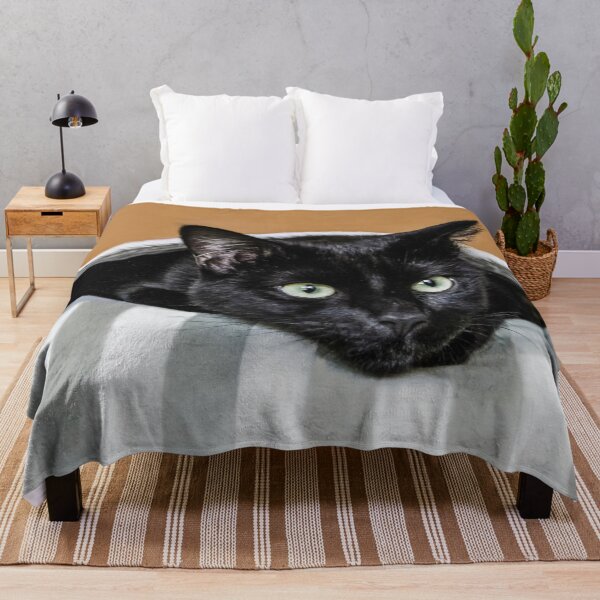 Item preview, Suki, 007 Undercover Cat! designed and sold by heatherfriedman.