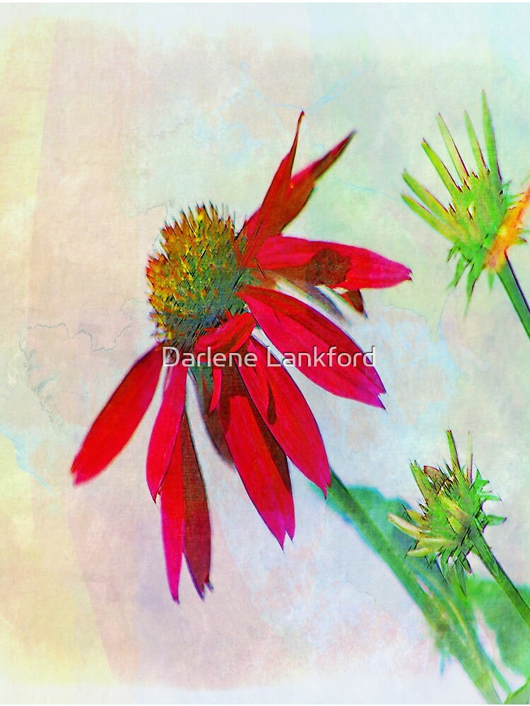 Red Gerbera Graphic by DeeZDeZines