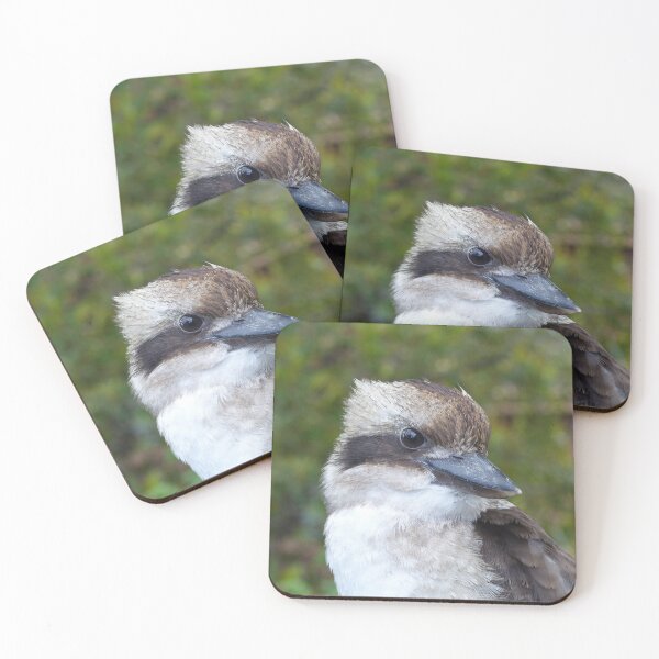 Item preview, Kookaburra Portrait 2 designed and sold by Trish Meyer.