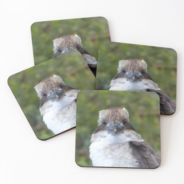 Item preview, Kookaburra Portrait 3 designed and sold by Trish Meyer.