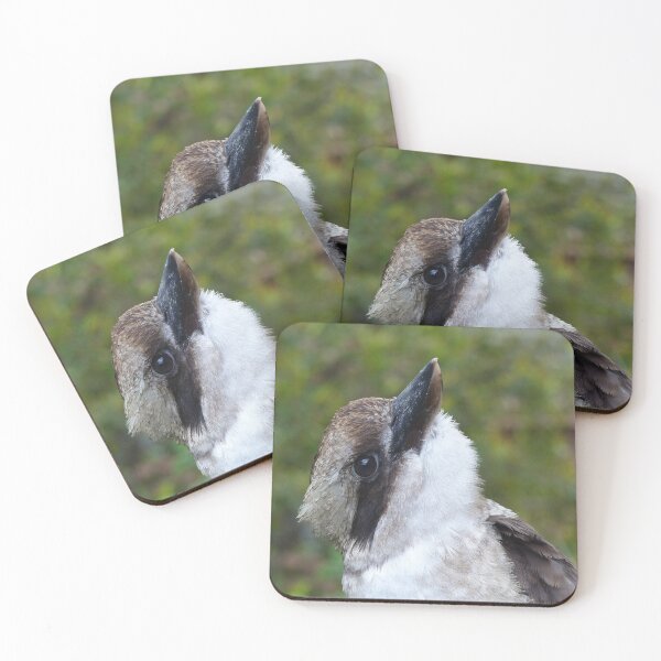 Item preview, Kookaburra Portrait 4 designed and sold by Trish Meyer.