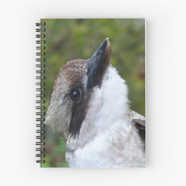 Item preview, Kookaburra Portrait 4 designed and sold by Trish Meyer.