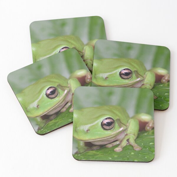 Item preview, Dwarf Tree Frog designed and sold by notjustamwac.