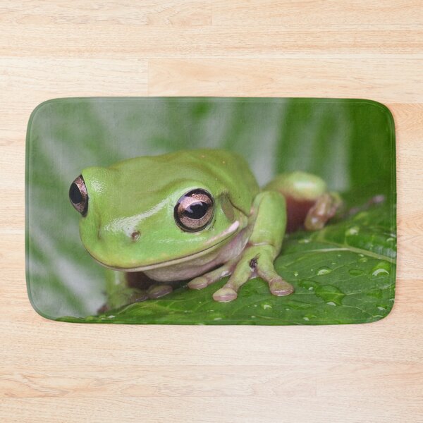 Item preview, Dwarf Tree Frog designed and sold by notjustamwac.