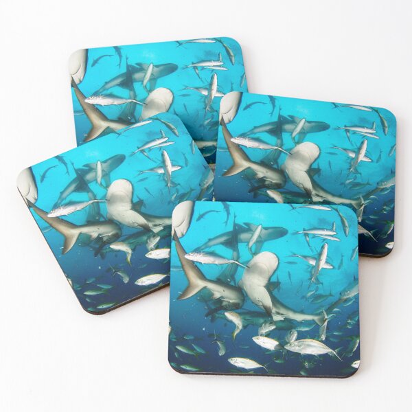 Item preview, Shark School designed and sold by Caitlin Chock.