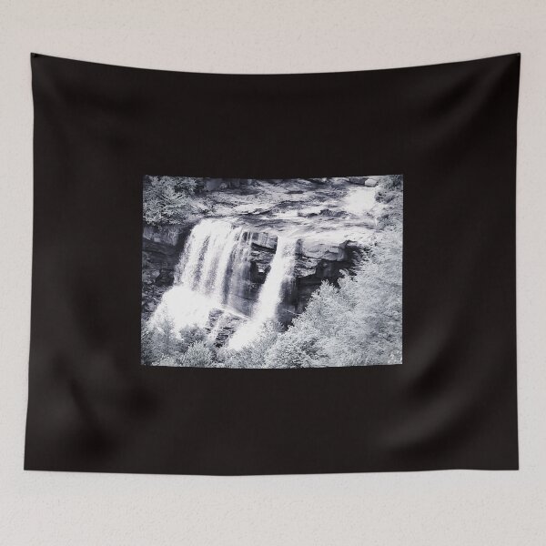 Item preview, West Virginia Blackwater Falls Black and White designed and sold by EloiseArt.
