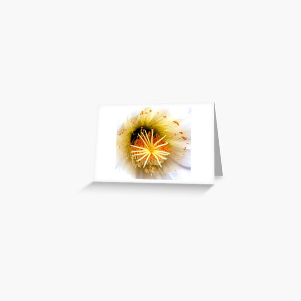 Gorgeous Greeting Card