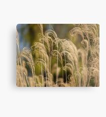 Magestic Metal Print