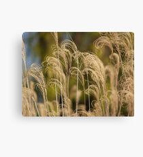 Magestic Canvas Print