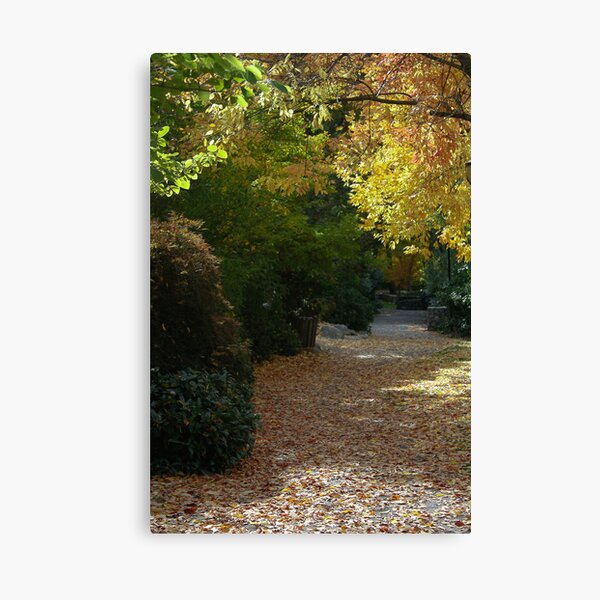 Walk In Th Park Canvas Print