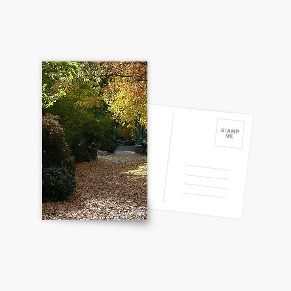 Walk In Th Park Postcard