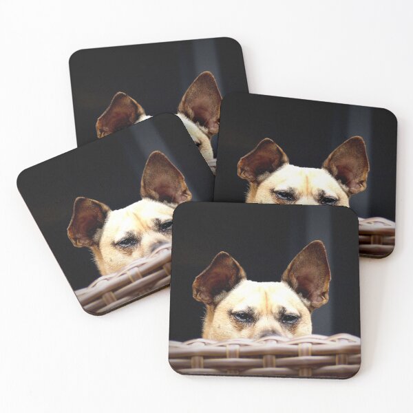 Item preview, "I'm Watching You!" designed and sold by PatSeg Photos.