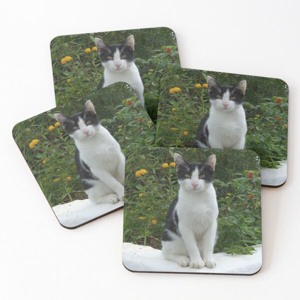 Item preview, The Look designed and sold by Trish Meyer.