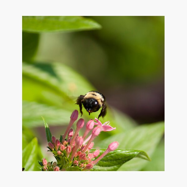 Item preview, Up in the air! designed and sold by vasu.