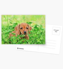 Jersey in the Clover Postcards
