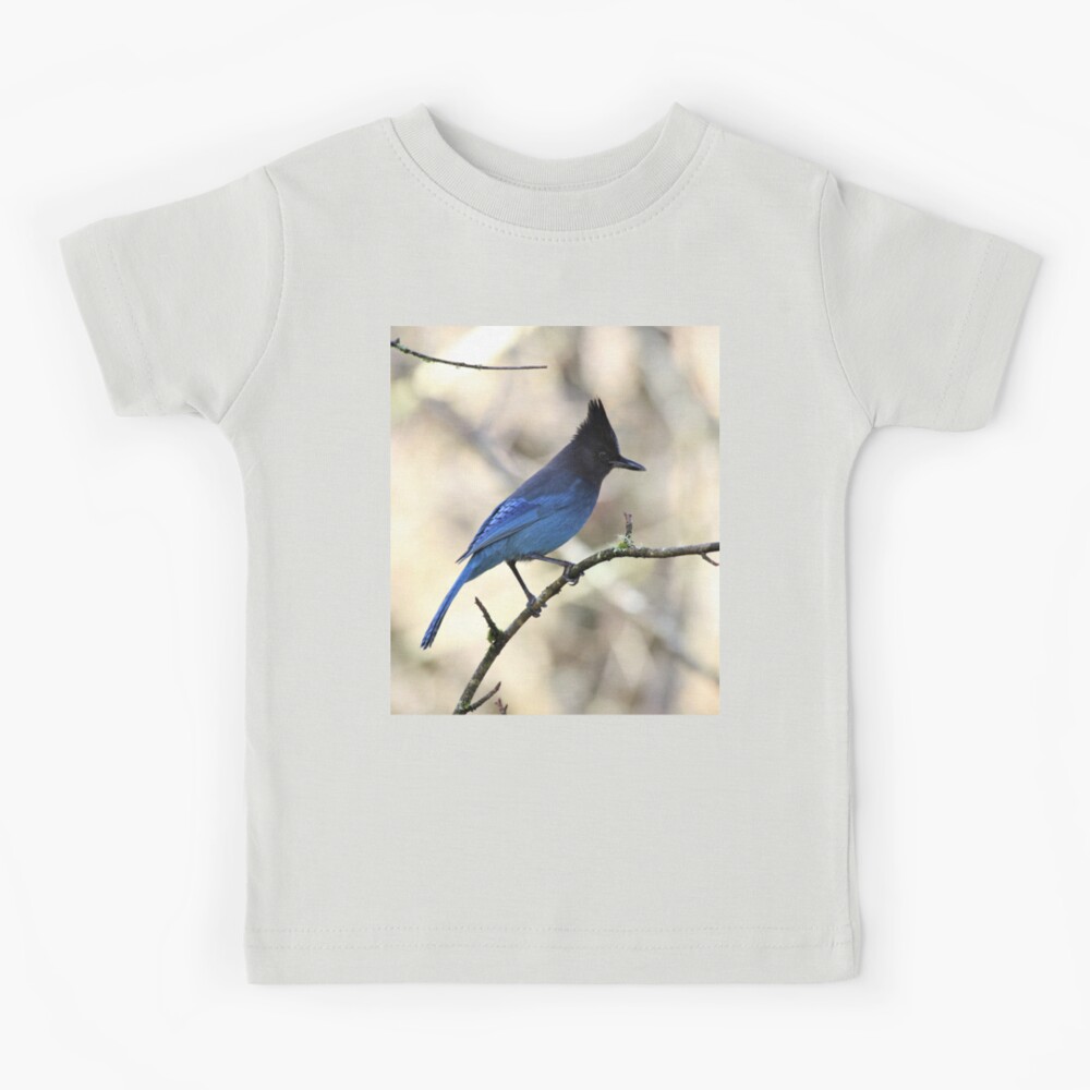 Blue Jay on Branch Kids T-Shirt for Sale by TheNativePigeon