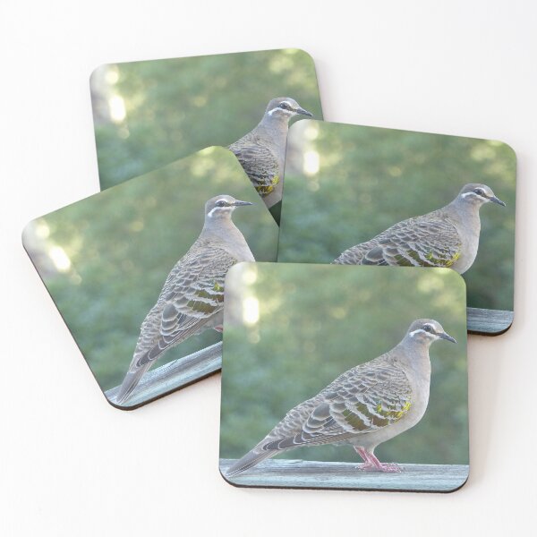 Item preview, Bronzewing Pigeon designed and sold by Trish Meyer.