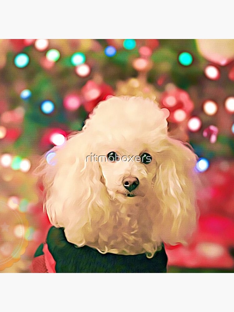 christmas poodle