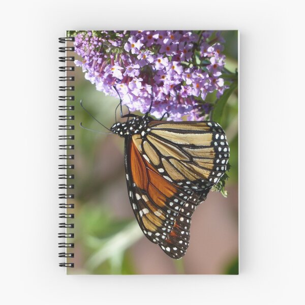 Item preview, Monarch 2017 designed and sold by Trish Meyer.
