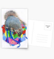 Curiosity Postcards