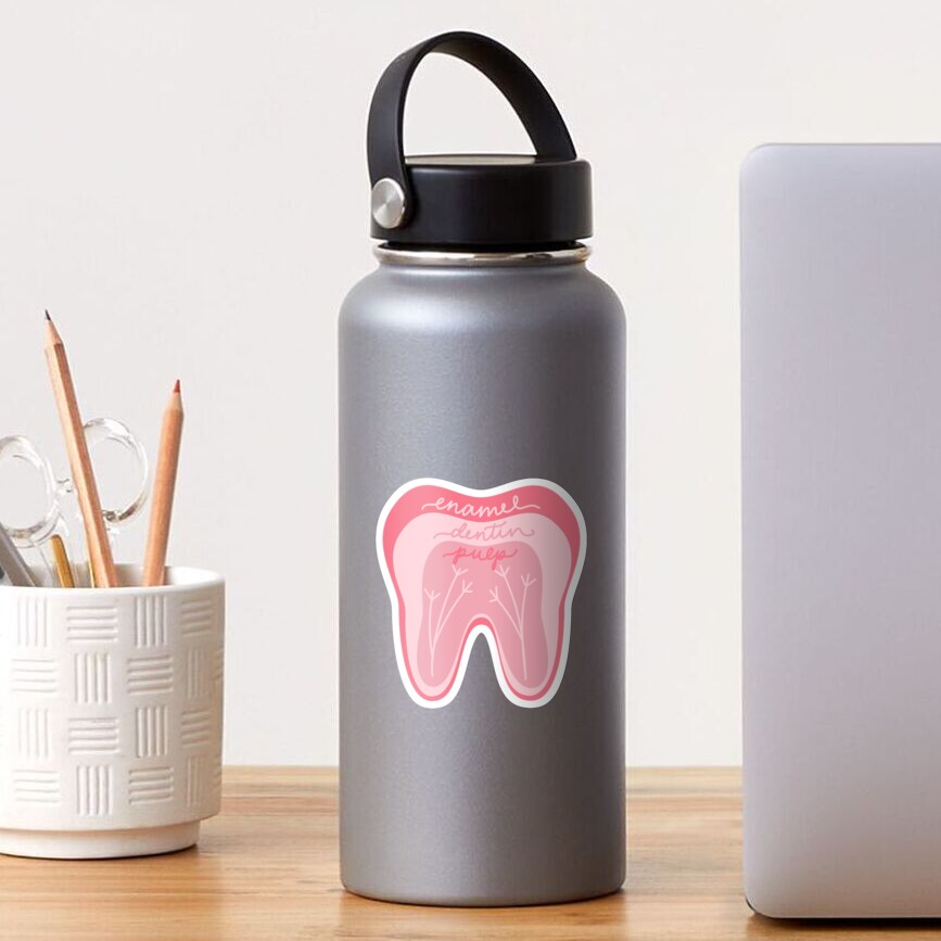 Tooth Anatomy Pink Sticker