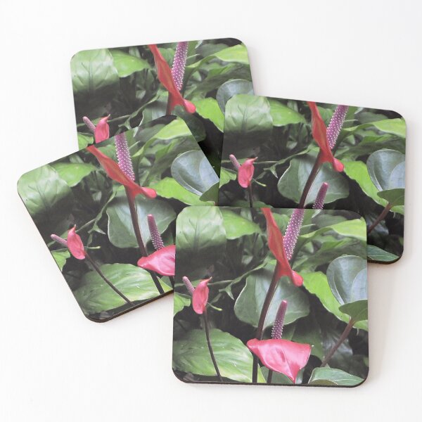 Item preview, Anthurium andraeanum designed and sold by Margaret Stevens.