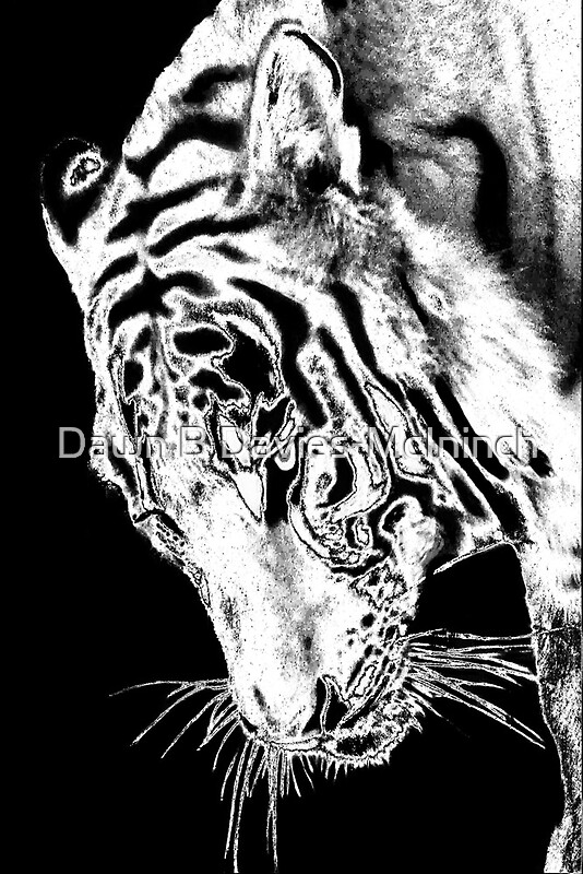 "Endangered Beauty" By Dawn B Davies-McIninch | Redbubble