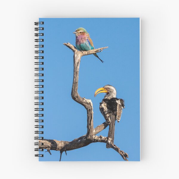 Item preview, Lilac Breasted Roller and Yellow Billed Hornbill designed and sold by Andrew Goodall.