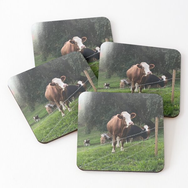 Item preview, Curious Cow designed and sold by Christine  Wilson Photos.