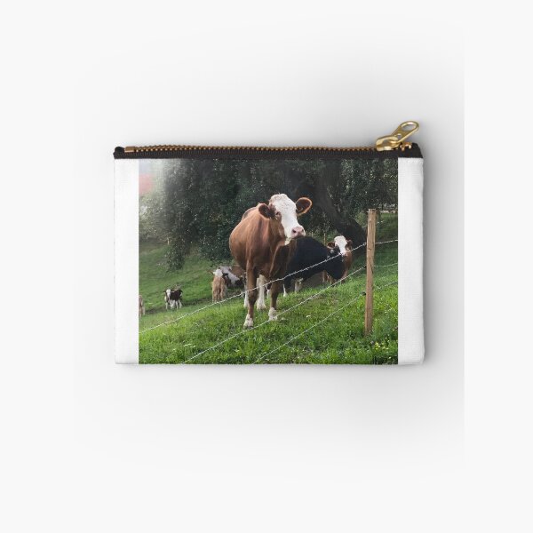 Item preview, Curious Cow designed and sold by Christine  Wilson Photos.