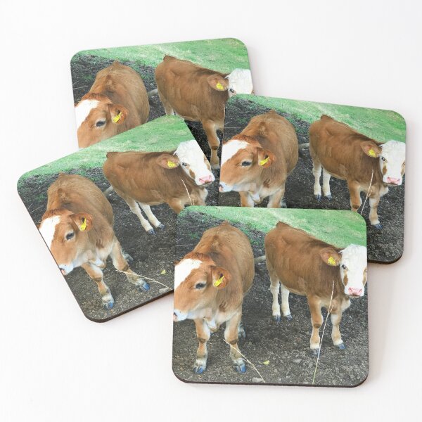 Item preview, Baby Cows designed and sold by Christine  Wilson Photos.