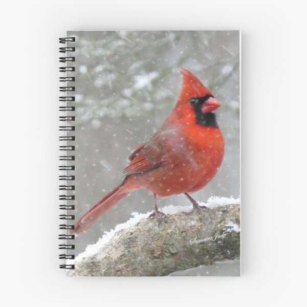Item preview, Cardinal and the Weather Outside designed and sold by SummerJade.