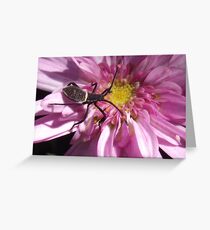 Creepy Crawly Greeting Card
