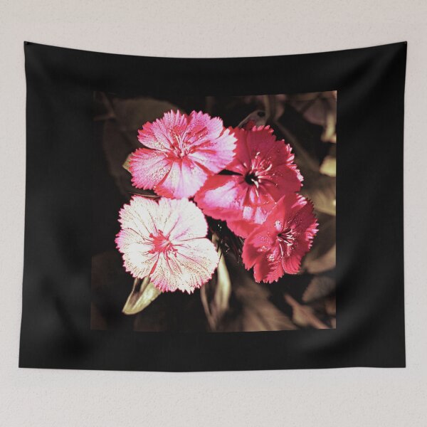 Aperçu de l'œuvre Pense Rose créée et vendue par khbdesignstudio.