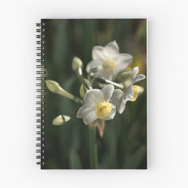 Item preview, Jonquils in Bloom designed and sold by Joy Watson - Natural Light Photography .