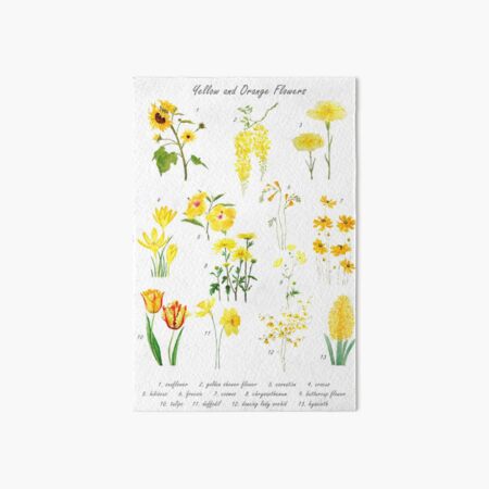 yellow and orange flowers collection Art Board Print
